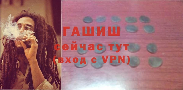 гидра Коряжма