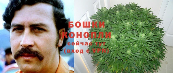 ПСИЛОЦИБИНОВЫЕ ГРИБЫ Козловка
