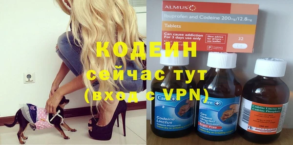 гидра Коряжма