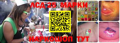 стаф Краснодар