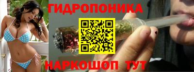 стаф Краснодар
