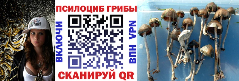Псилоцибиновые грибы ЛСД  Кубинка 