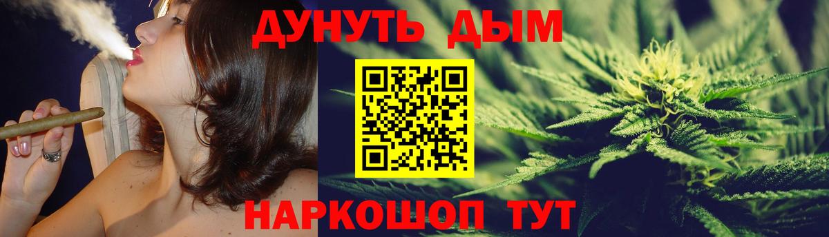 Конопля гибрид Кубинка